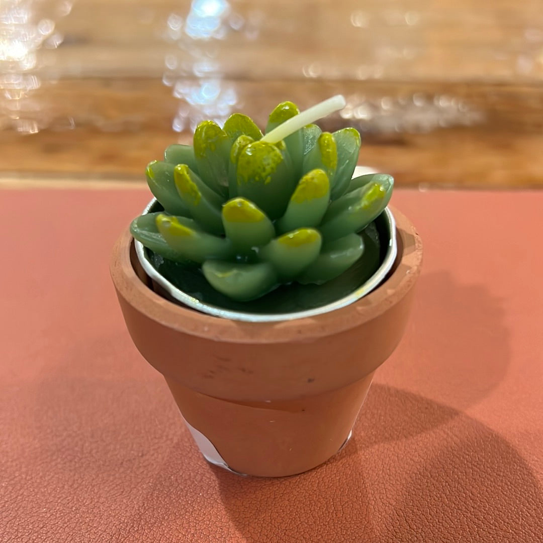 Succulent in Planter Candle