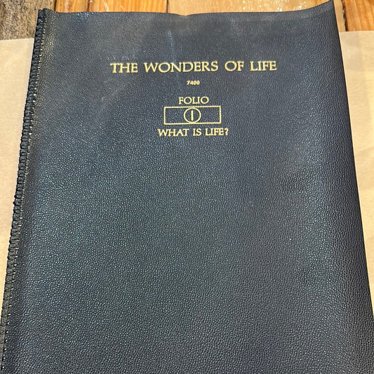 The Wonders of Life