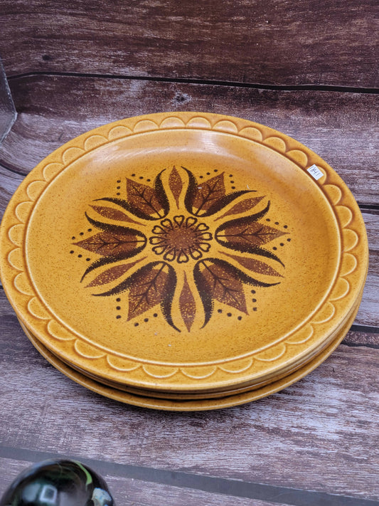 Homer Laughlin Golden Harvest dinner plate