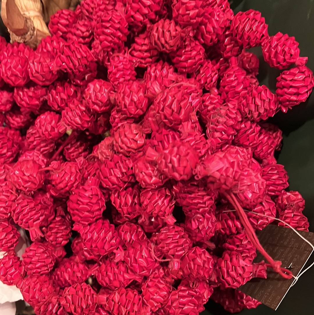 Red Pinecone Garland