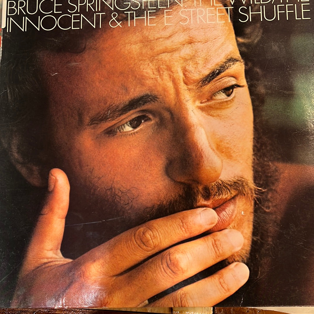 Bruce Springsteen The Wild Vinyl