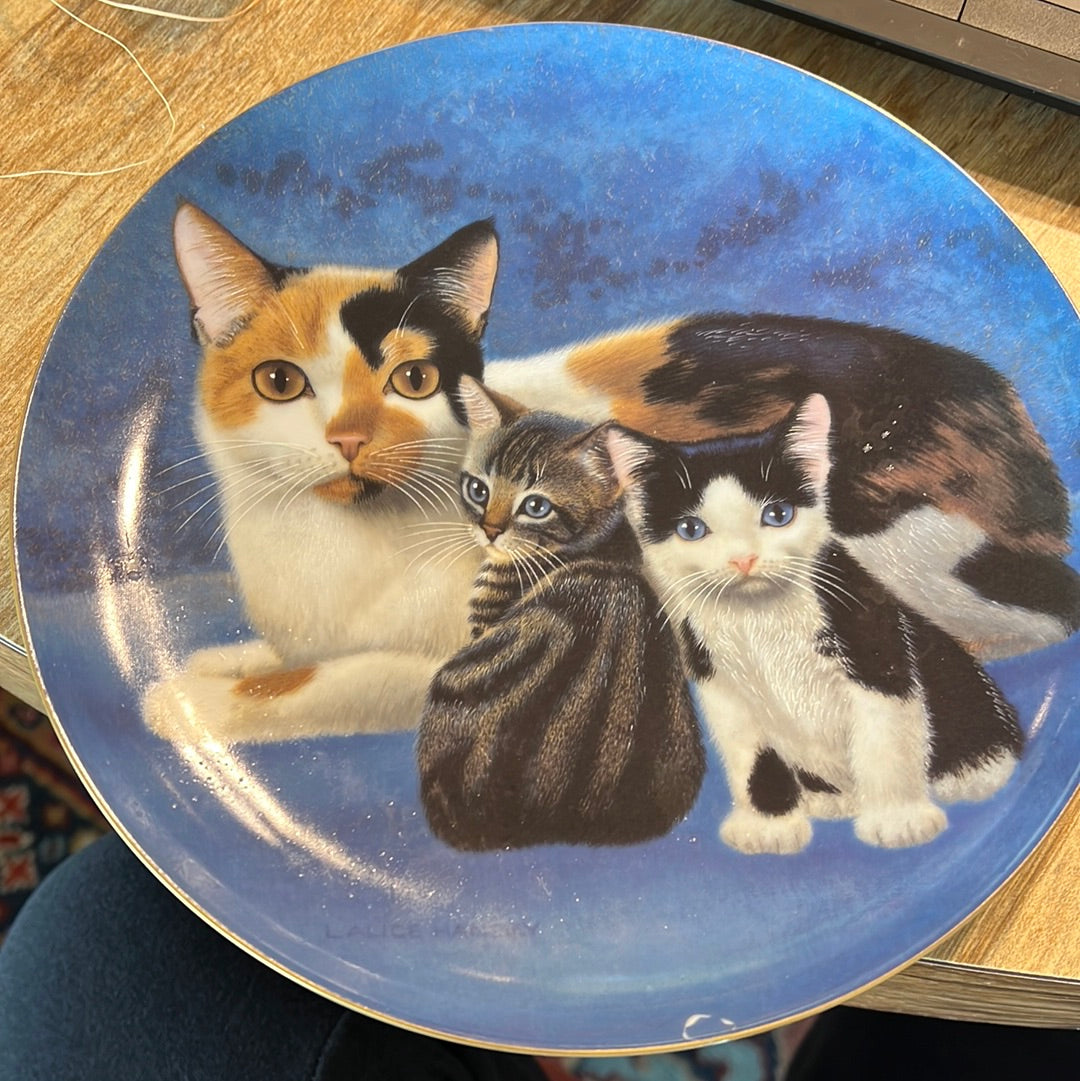 Manx & Kittens Cat Portraits Plate